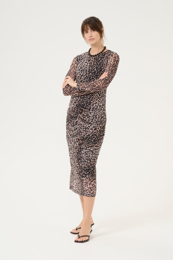 attie melida kjóll leopard - Daría