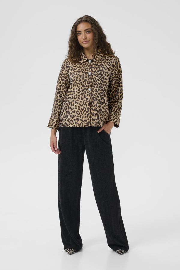 CAROL JAKKI - Daría