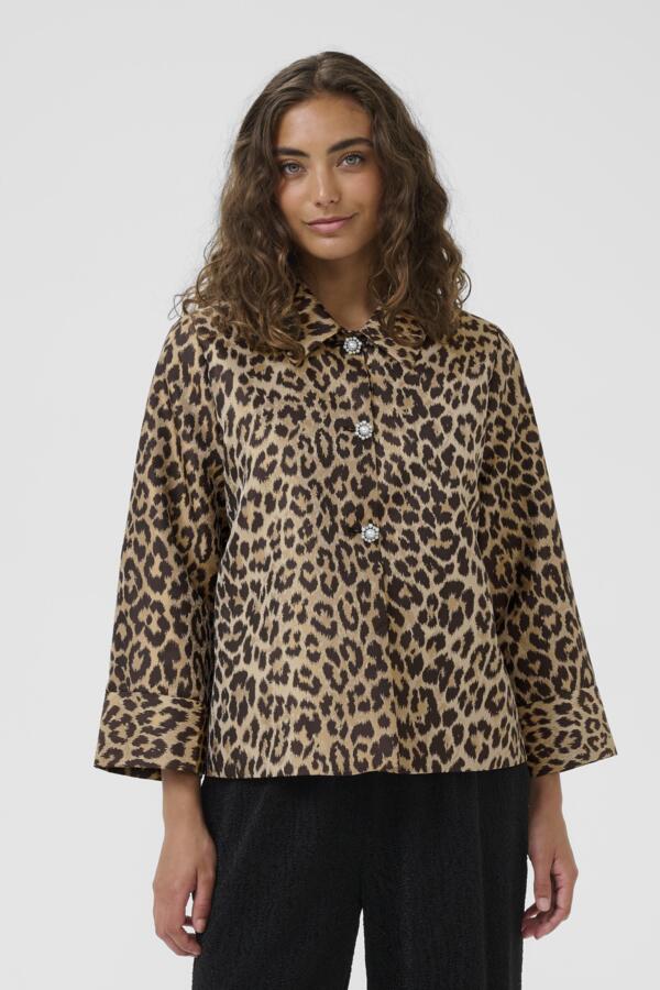 CAROL JAKKI - Daría