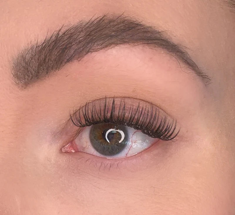 Bella augnhár D curl - Daría