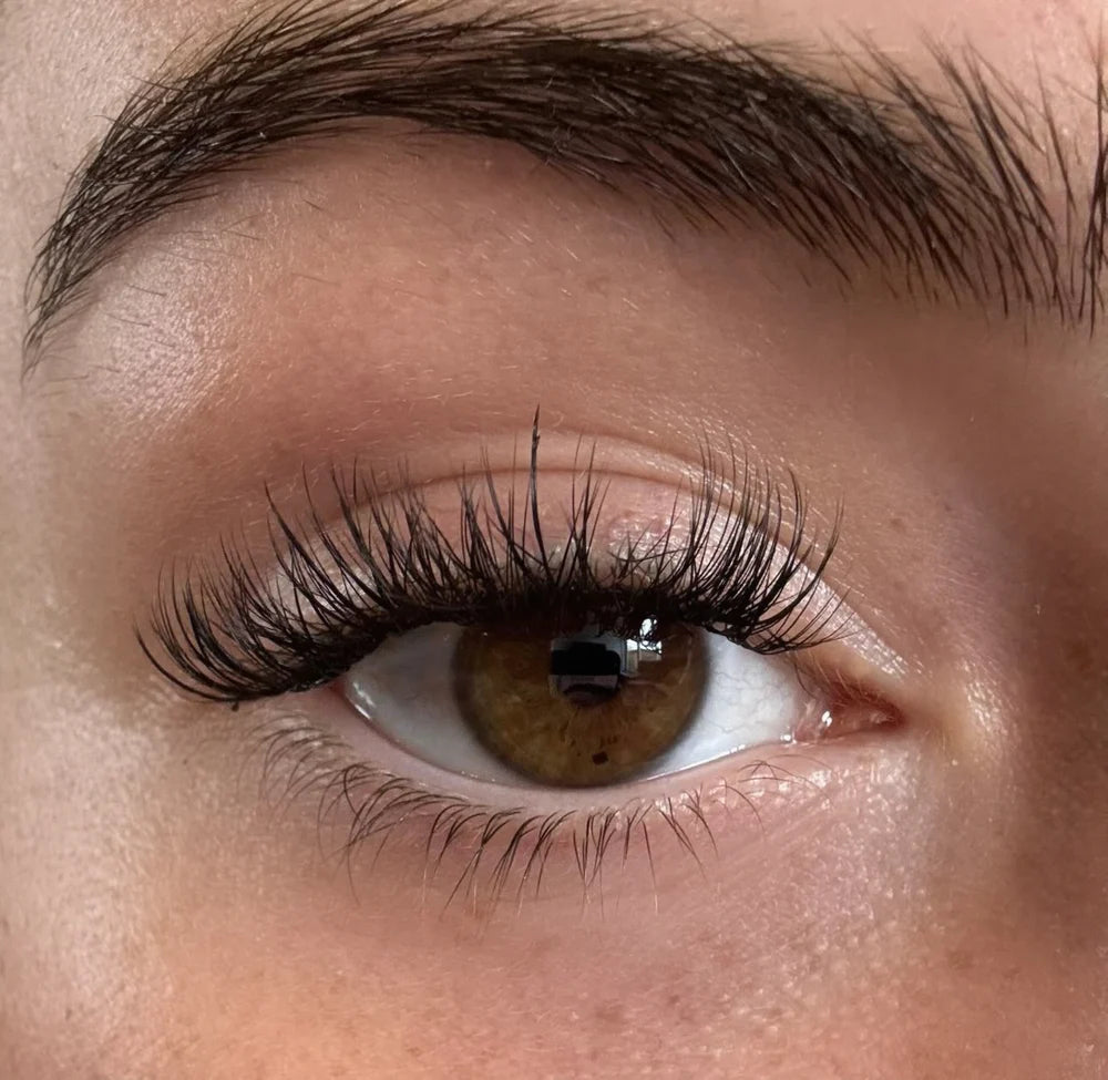 Bella augnhár D curl - Daría