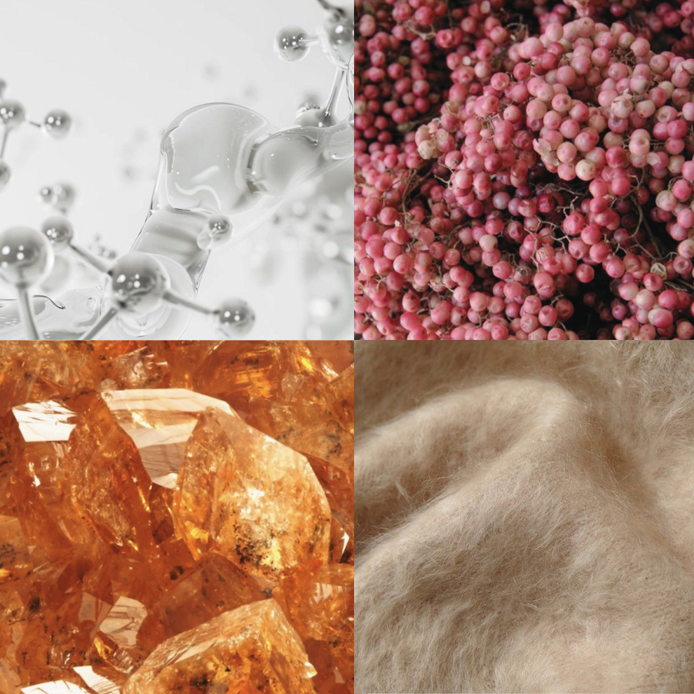 LAST RESORT - EAU DE PARFUM - Daría